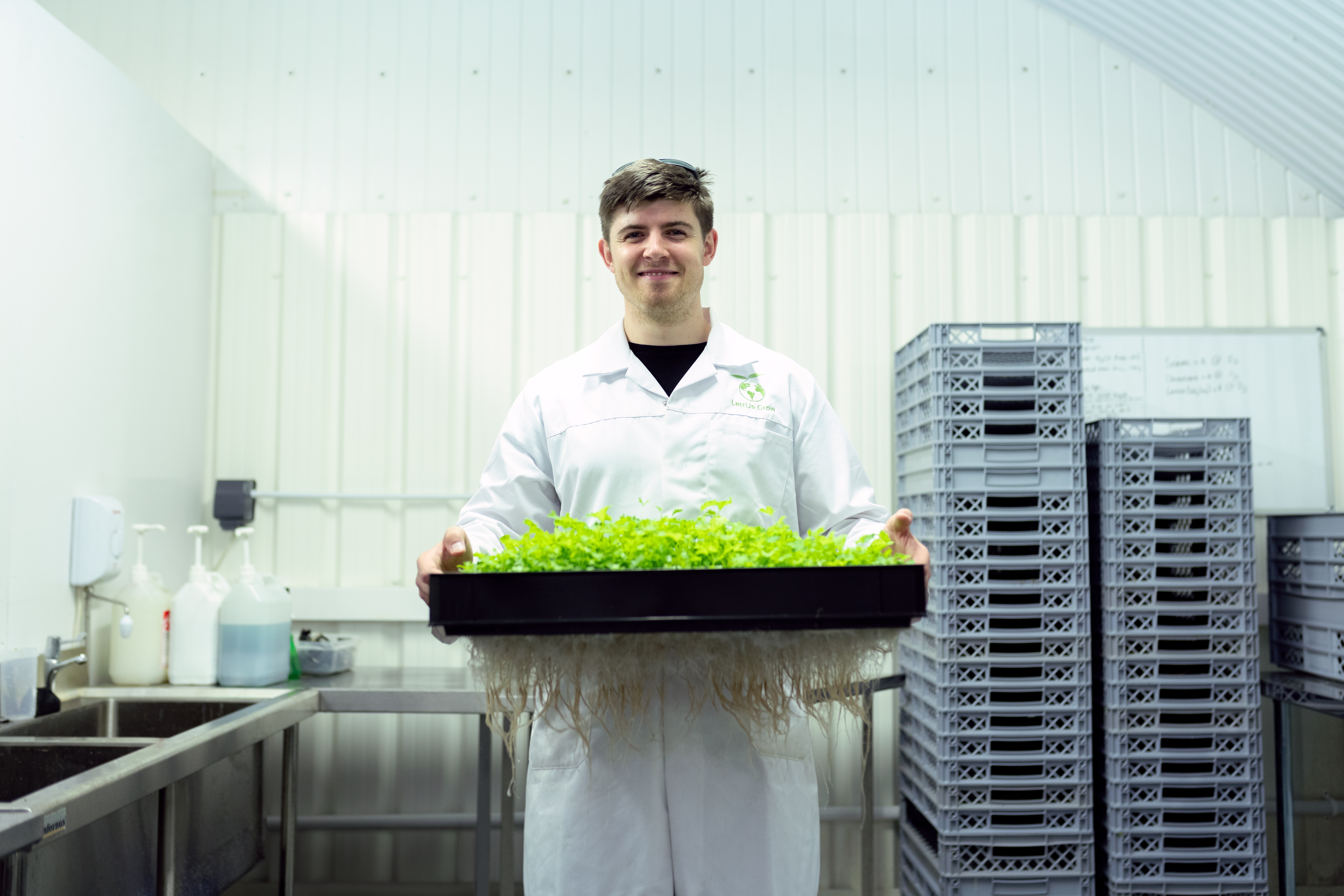 From GrantTree's Ultimate Guide to Claiming R&D Tax Credits page | In the picture: An agritech scientist holding a tray of plants