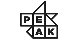 peak AI logo