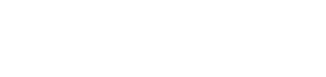 Built Intelligence White Logo