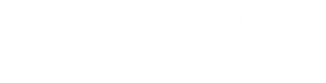 DueDil White Logo