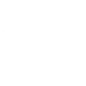 Paragon Logo White
