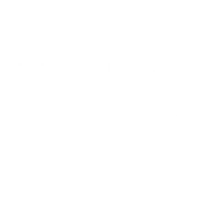 Undo Carbon Logo White