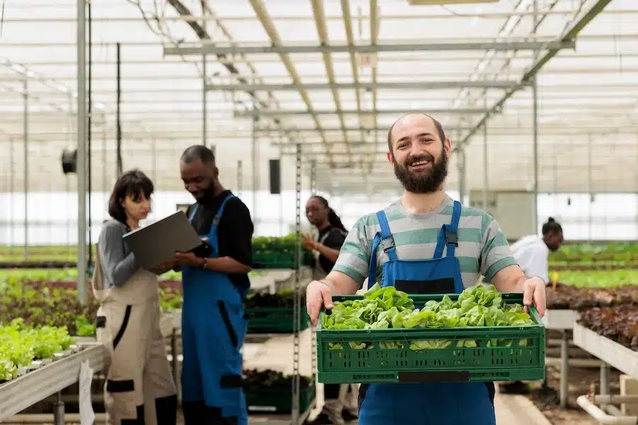 An image accompanying GrantTree's blog on the Agri-tech and food technology, Mid and North Wales Grant