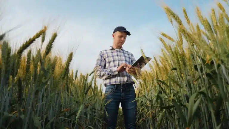 A farmer standing in a field holding a tablet